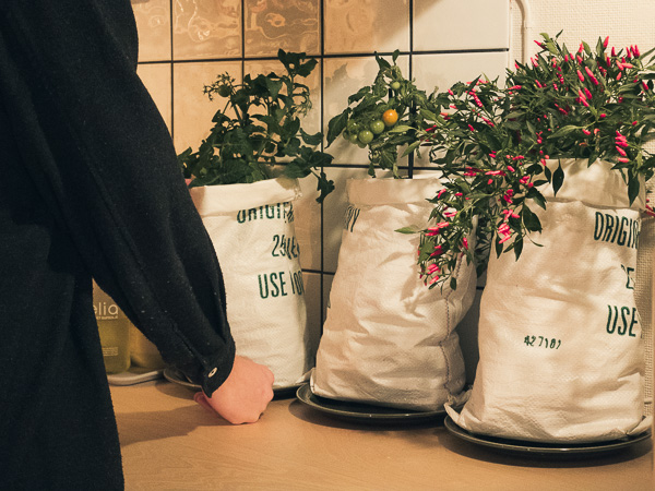 The customer placing several more growing kits on their kitchen bench