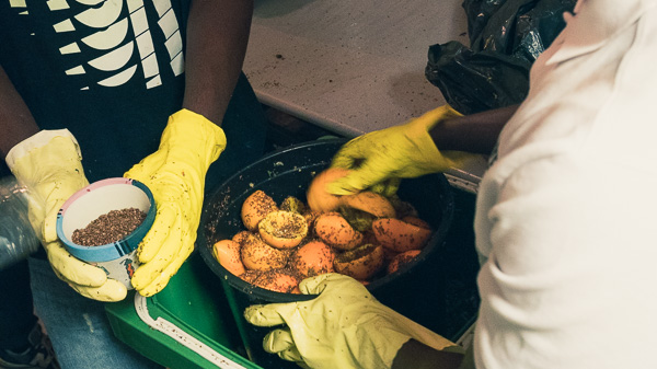 Employees composting in trash bins using bokashi method