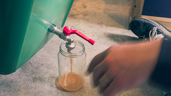 Employee draining byproduct liquid from the bokashi bins using a bottom tap