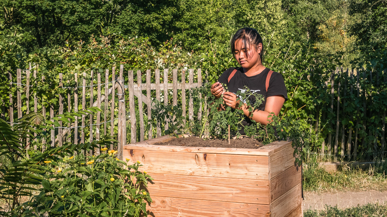 Top level of educational planter